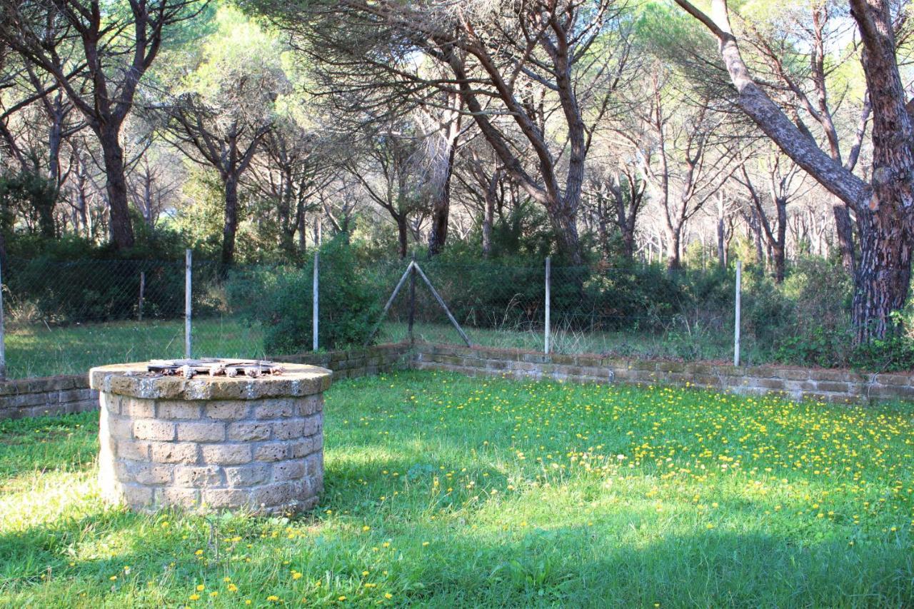 Residence La Canova II Marina di Grosseto Ngoại thất bức ảnh