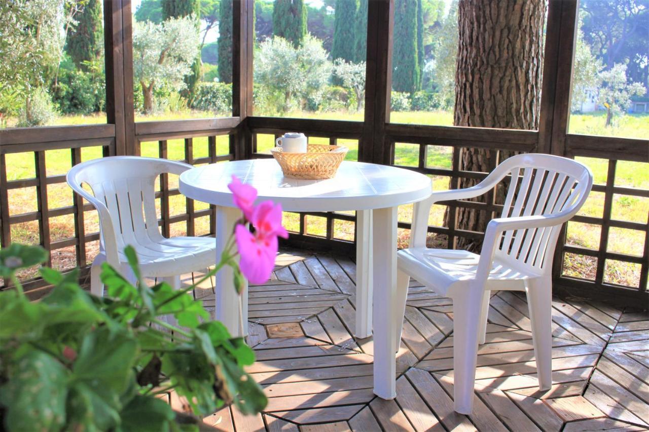 Residence La Canova II Marina di Grosseto Ngoại thất bức ảnh